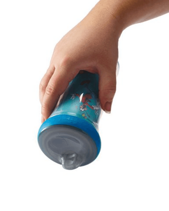 Insulated Hard Spout Sippy Cups 9 Oz - 2 Pack by Disney - BORN TO BE